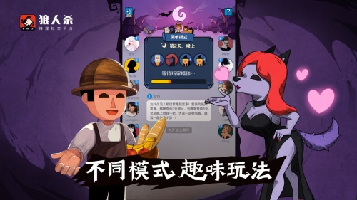 你好，这里有一只全世界最1的小猫
